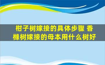 柑子树嫁接的具体步骤 香橼树嫁接的母本用什么树好